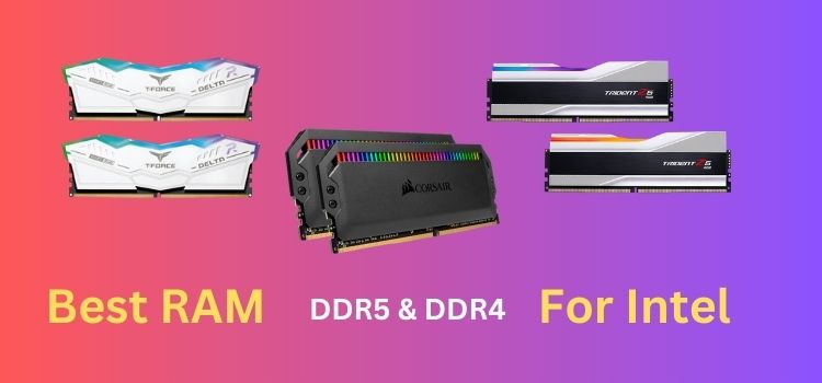 Best RAM for Intel DDR4 & DDR5 [2x 16GB]